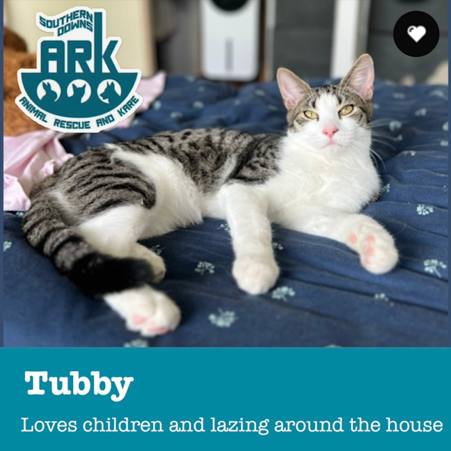 Photo of Tubby