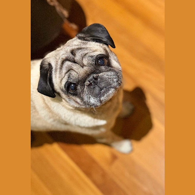 Photo of Jo Jo