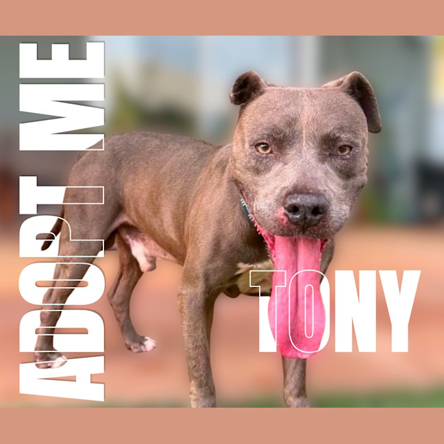 Photo of Tony