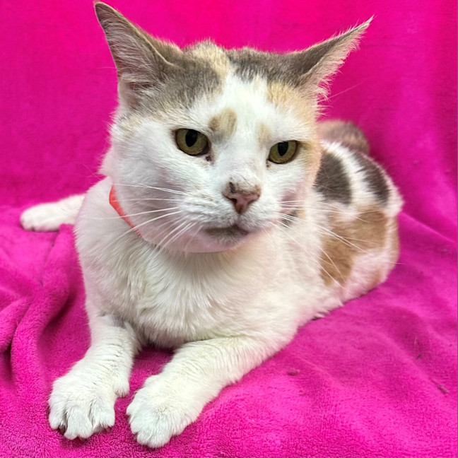 Photo of Mildred