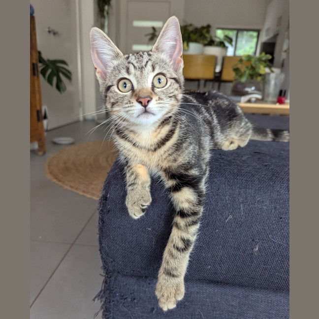 Photo of Lucia Scotty