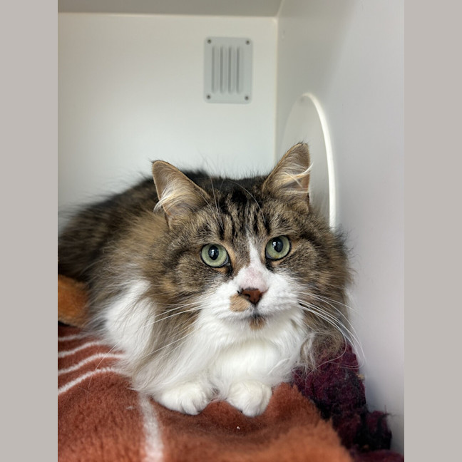 Photo of Tammy 
