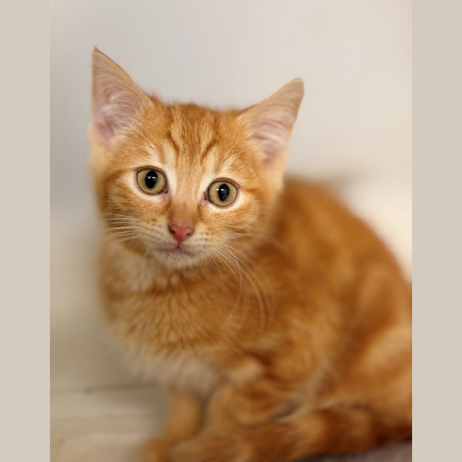 Photo of Leroy
