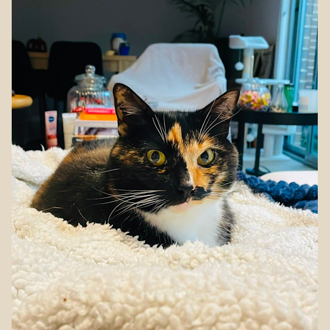 Photo of Aggie