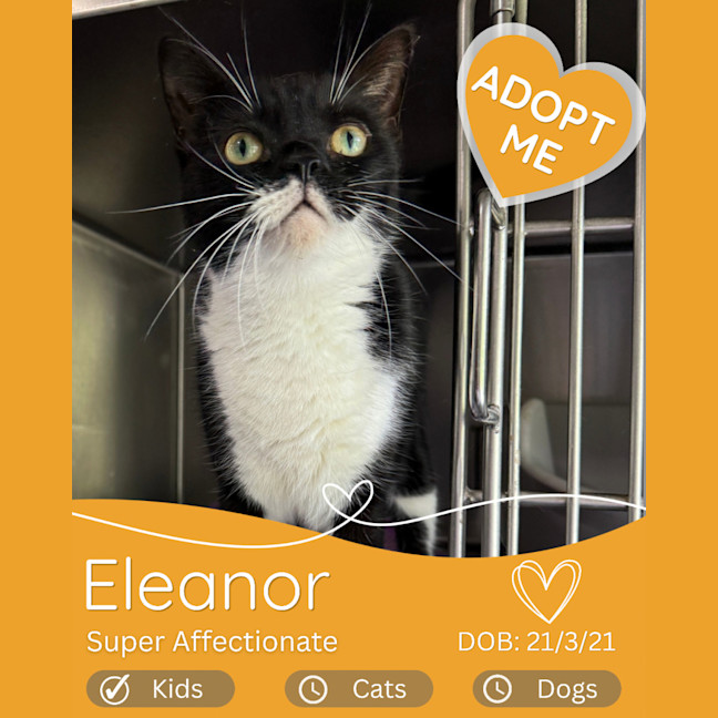 Photo of Eleanor
