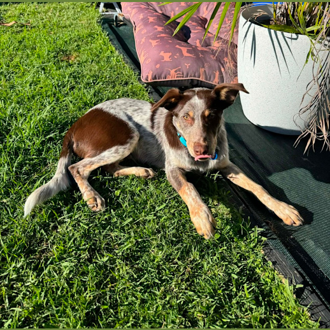Photo of Cash