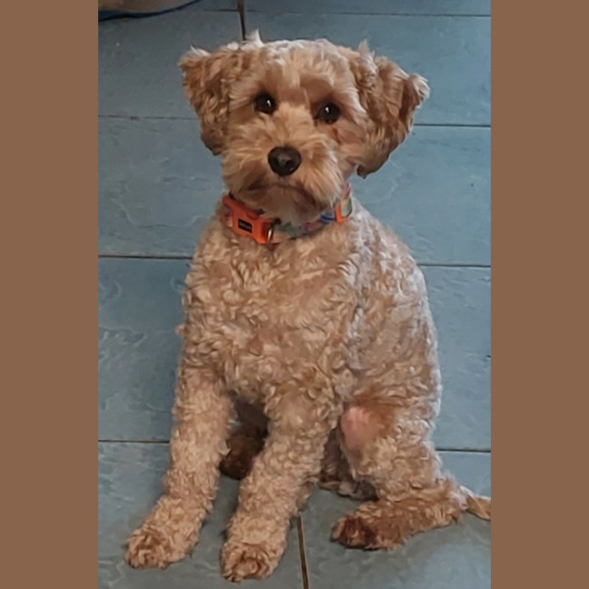 Photo of Layla And Lena 