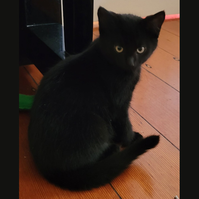 Photo of Boris