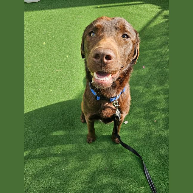 Photo of Max