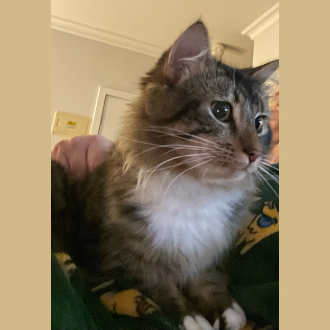 Photo of Percy