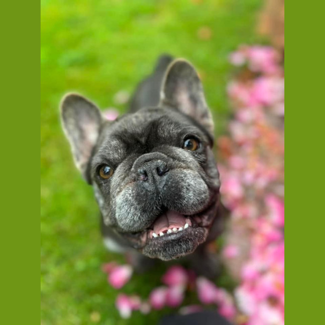 Photo of Lady Jess 