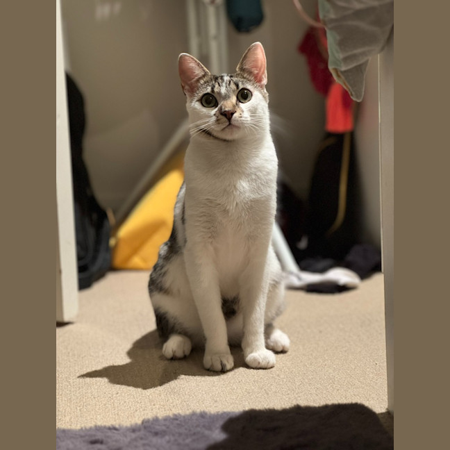 Photo of Nugget Scott