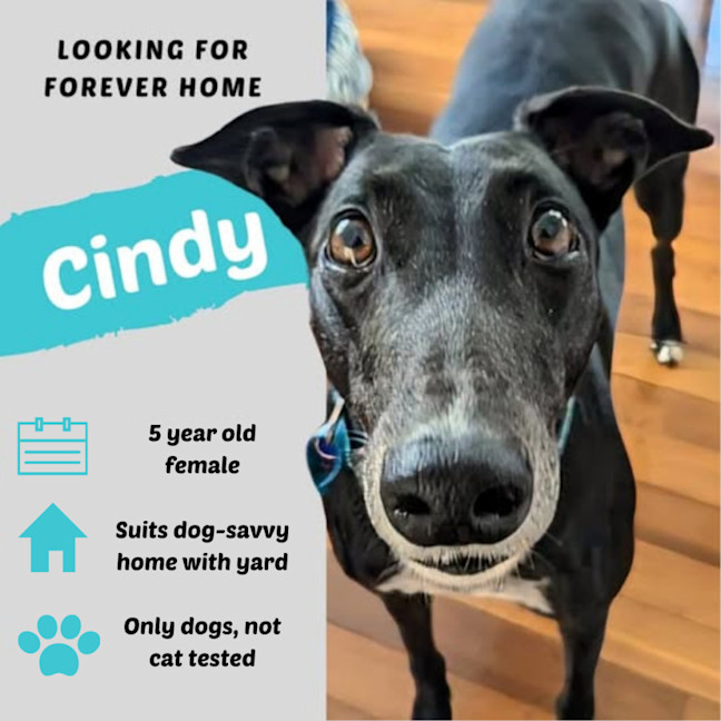 Photo of Cindy