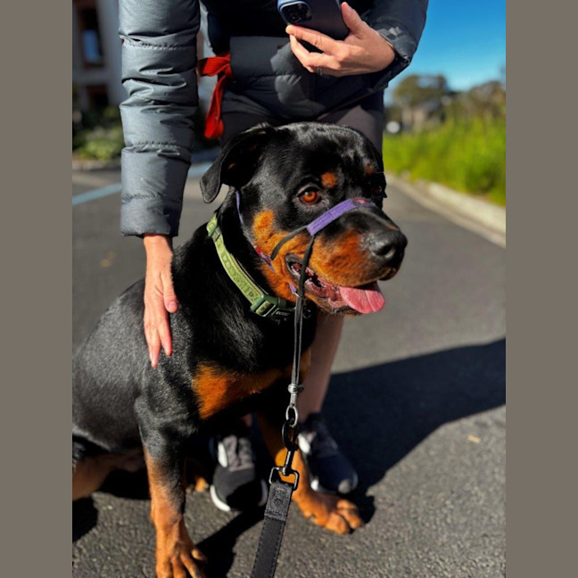 Photo of Lucky Newhaven