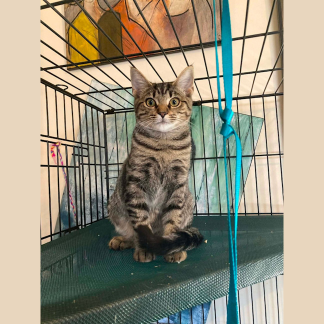 Photo of Essie