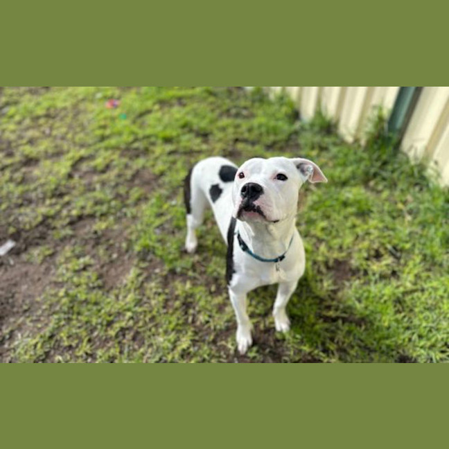 Photo of Sheila