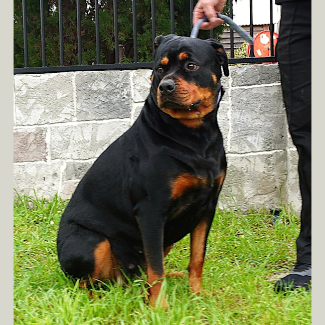 Photo of Mia