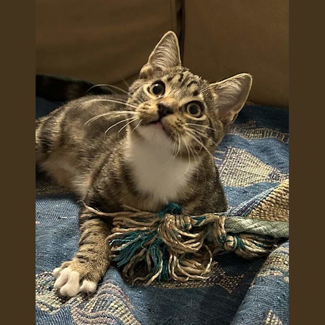 Photo of Monty