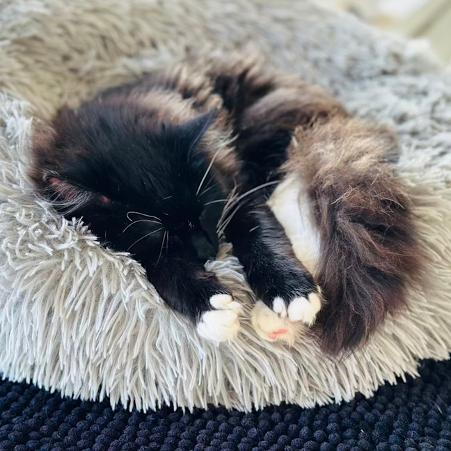 Photo of Mimi