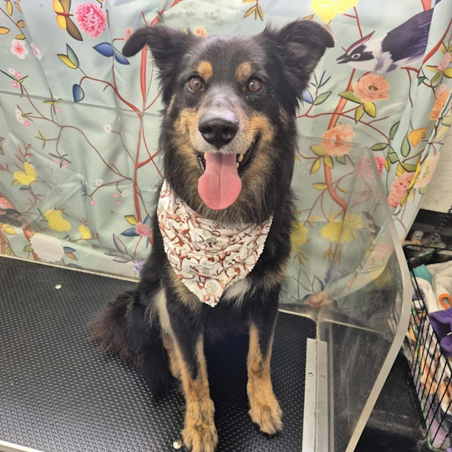 Photo of Bixby