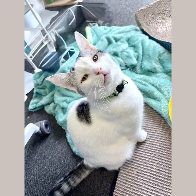 Photo of Monty