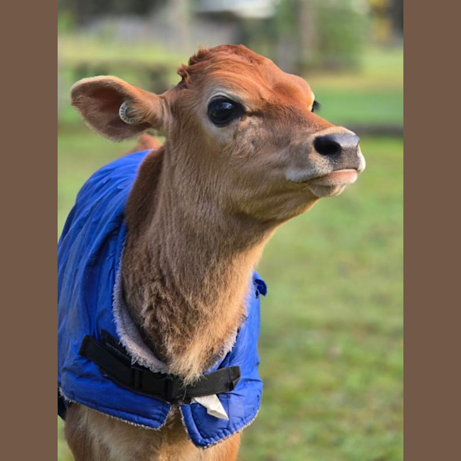 Photo of Bryce & Stanley