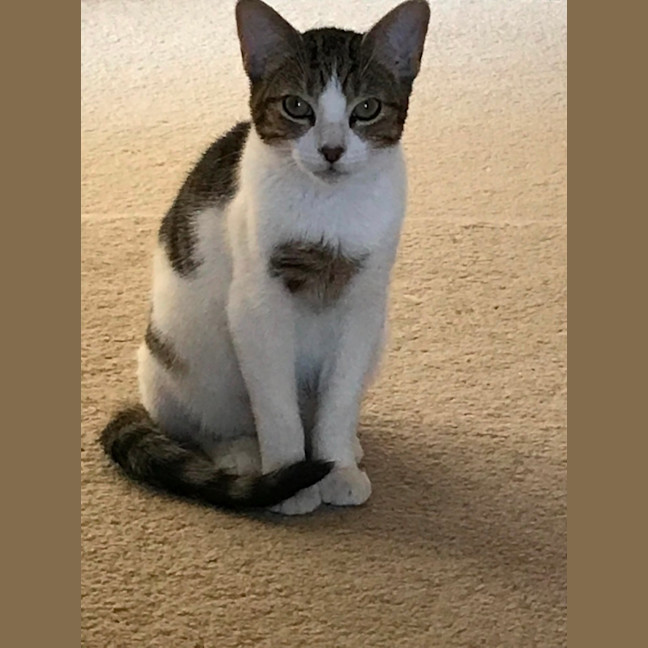 Photo of Jasper
