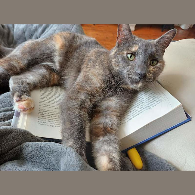 Photo of Smokey