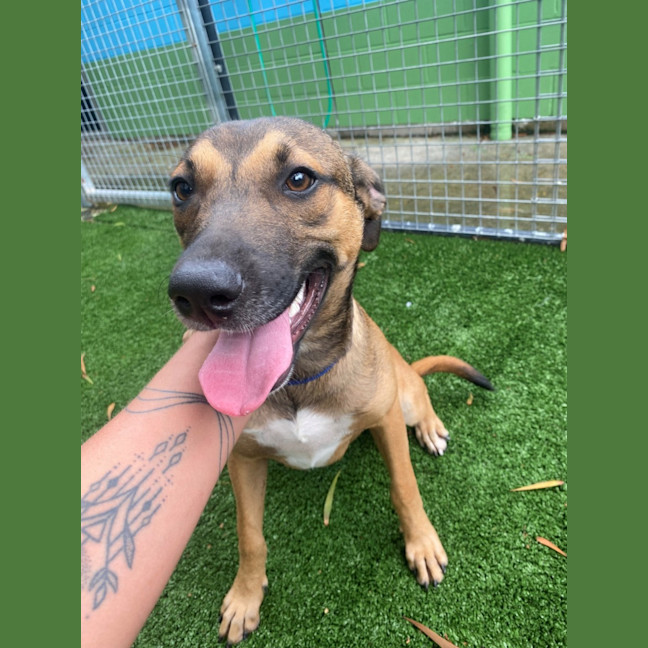 Photo of D1117 Katia