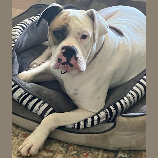 Photo of Annie