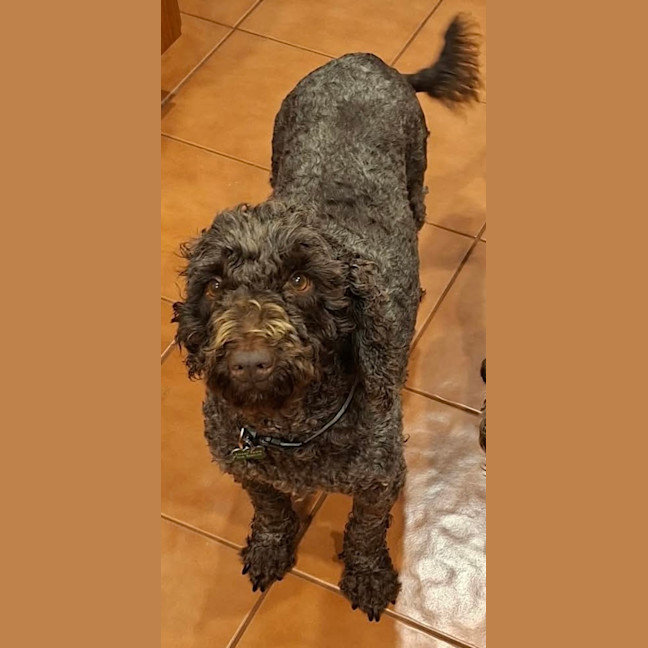 Photo of Mabel