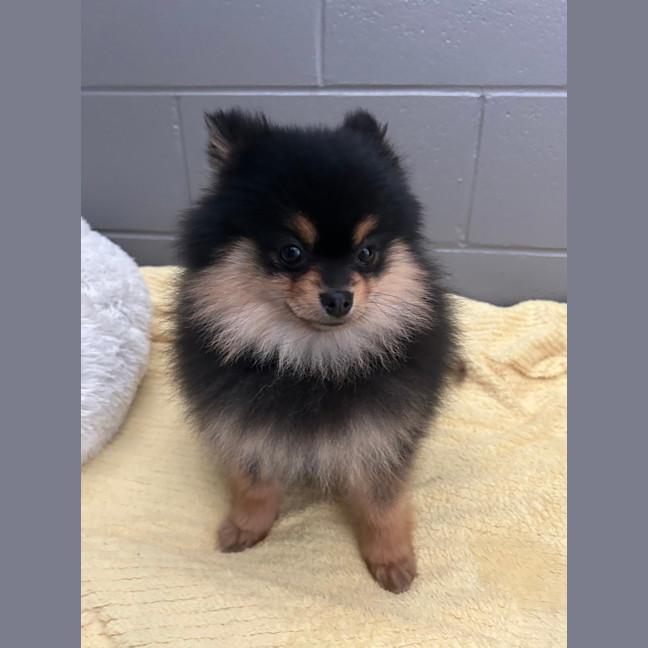 Photo of Storm