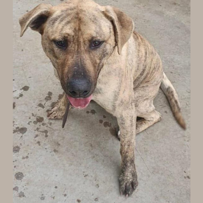 Photo of Wilma Fingerdoo