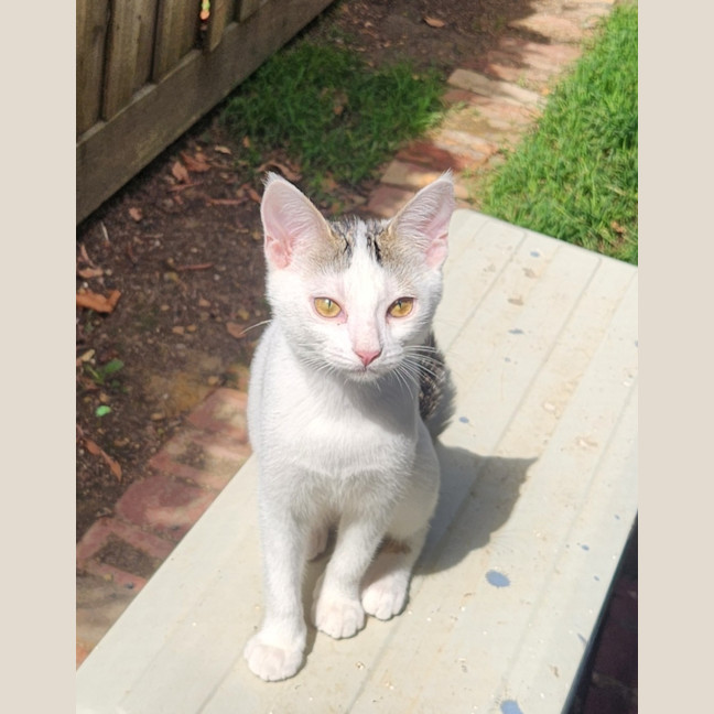 Photo of Verity & Solace