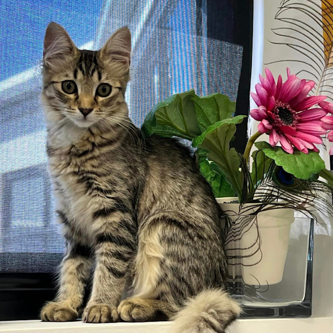 Photo of Rizzo