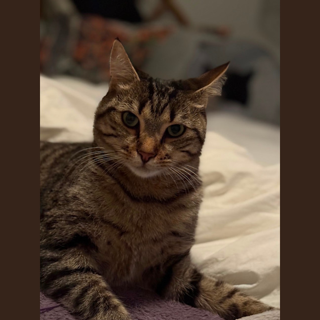 Photo of Charlie 