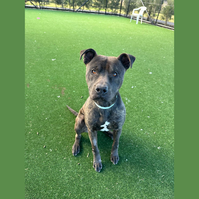 Photo of Peter Imp 888