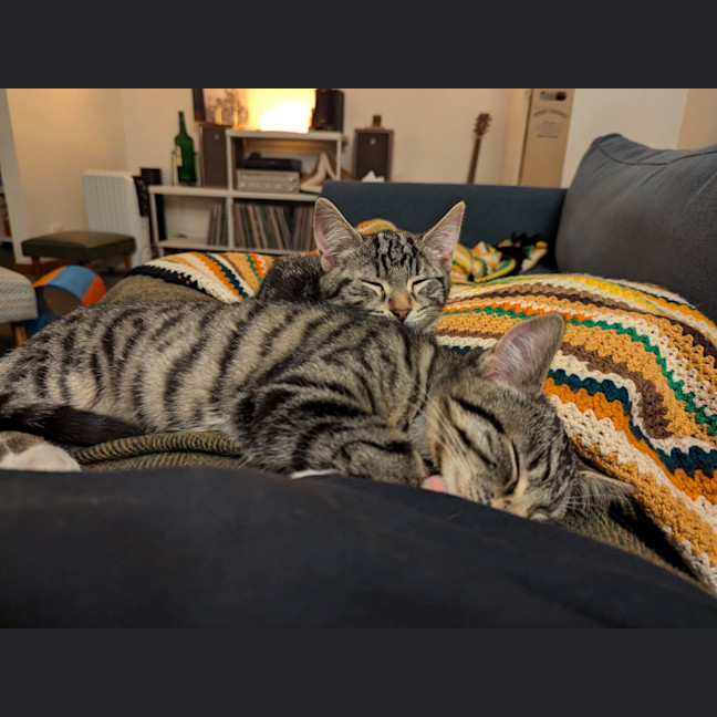 Photo of Stout