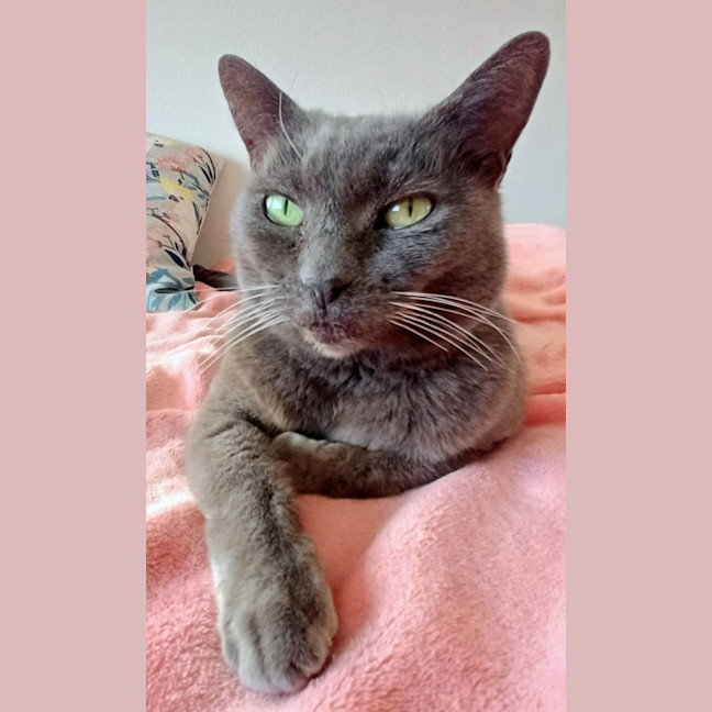 Photo of Alice