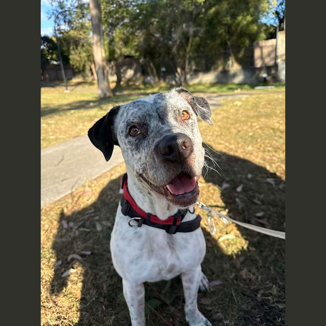 Photo of Ghost
