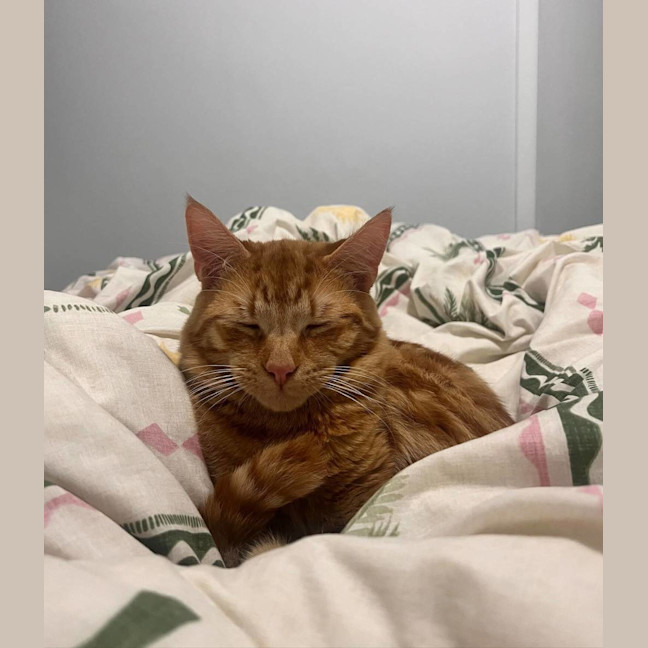 Photo of Alistair