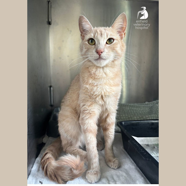 Photo of Happy Heidi