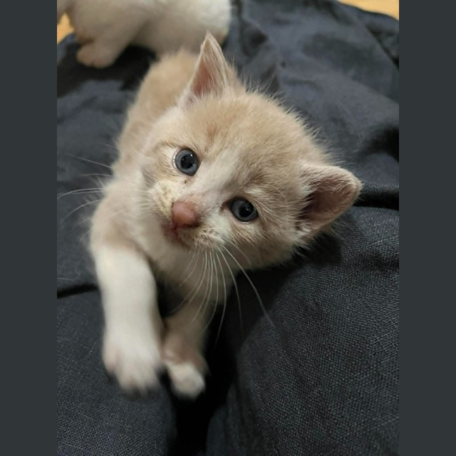 Photo of Rupert