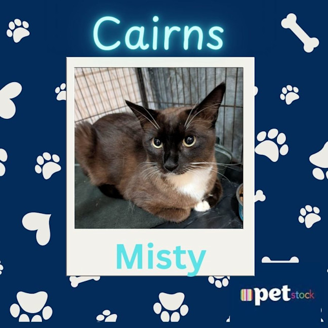 Photo of Misty
