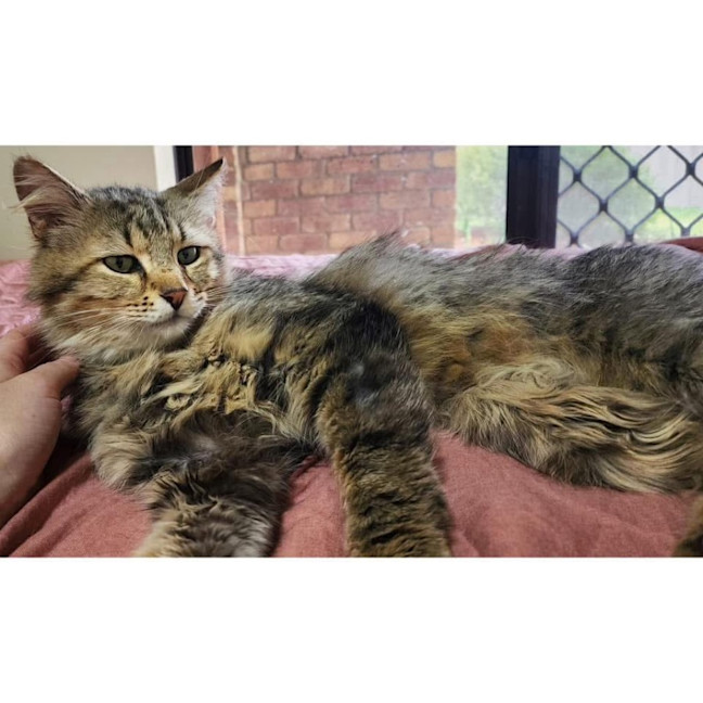 Photo of 11553   Jeremy Bearimy