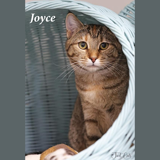 Photo of Joyce