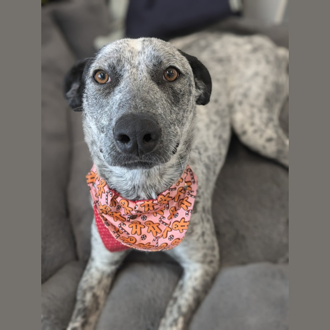 Photo of 🎀 Monica 5585 🎀