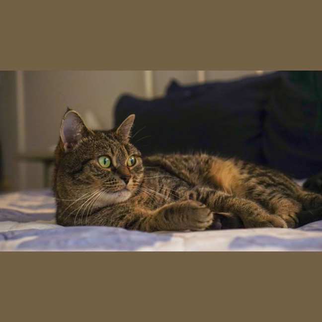 Photo of 💖Rin!!💖