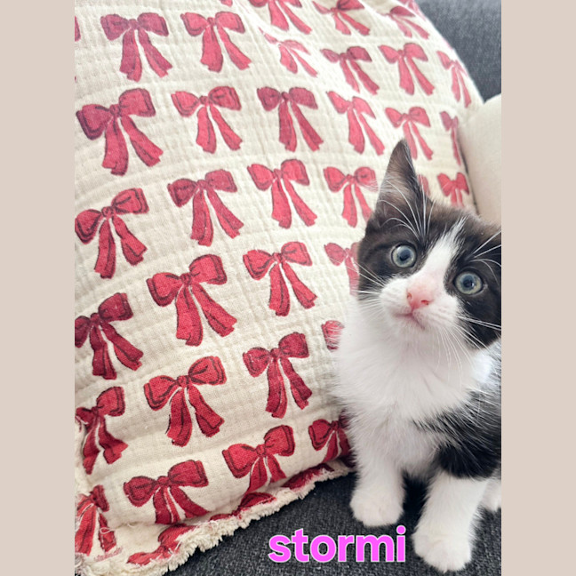 Photo of Stormi