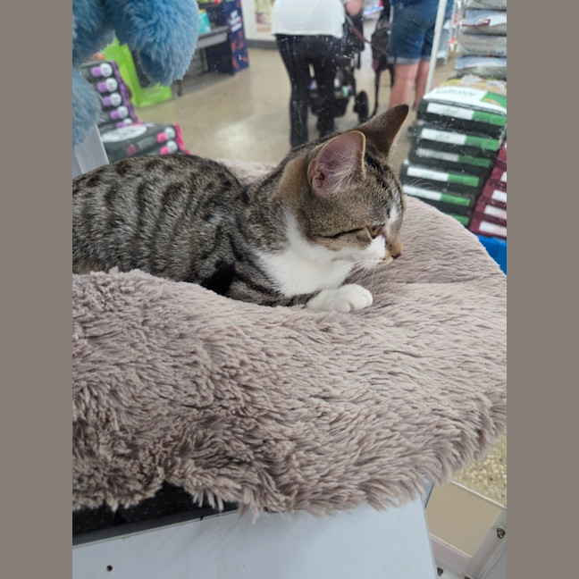 Photo of Martha   Loves Children